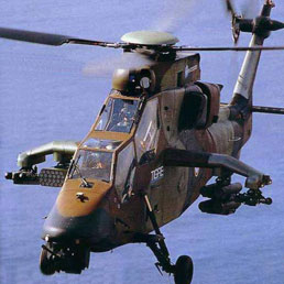 tiger6-258.jpg?uuid=e39c969c-8567-11e0-bf94-90c651e9f06e